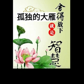 不舍离开,痛心放下(背景音乐印良法师《放下》)