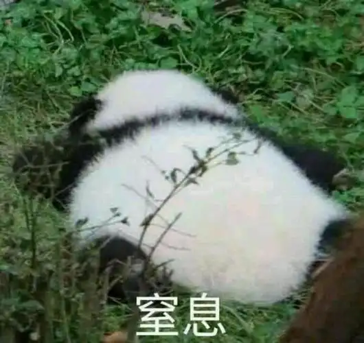 窒息_窒息表情