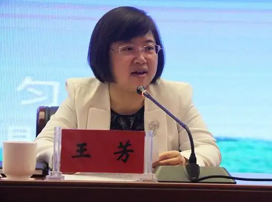 黔南州委常委,州委宣传部部长,文明委副主任王芳在全省文明城市,文明