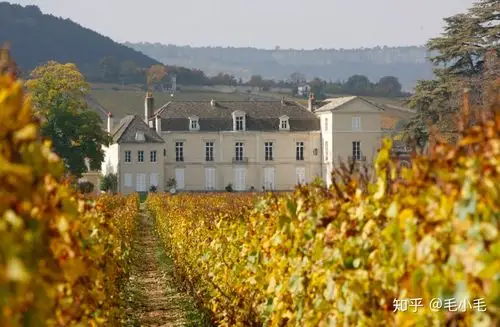 关于法国葡萄酒之都勃艮第博纳这些你都知道么