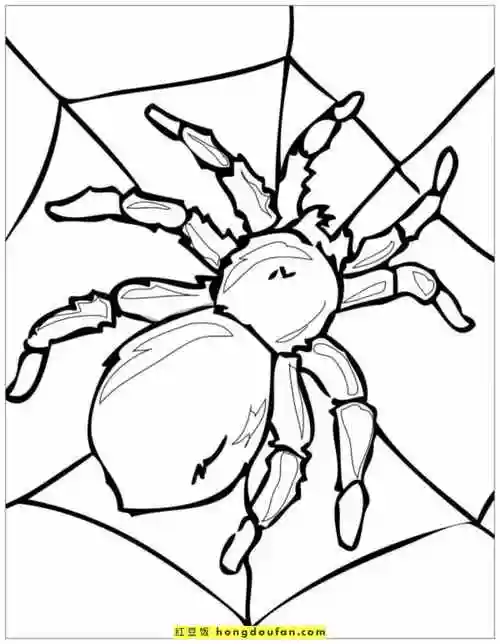 夏天的虫鸣12张有趣的卡通手绘昆虫简笔画蚂蚱螳螂瓢虫蜻蜓蛾子