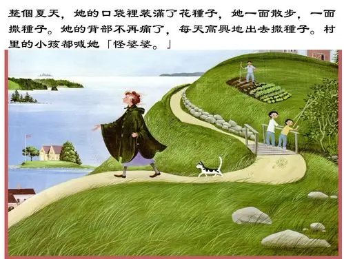 三幼好书推荐——《花婆婆》 - 美篇