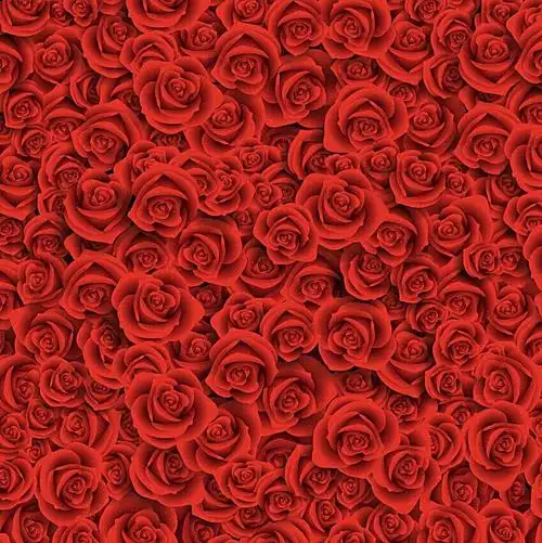 好看的广告背景图片素材免费下载,本次作品主题是红色玫瑰花背景图片