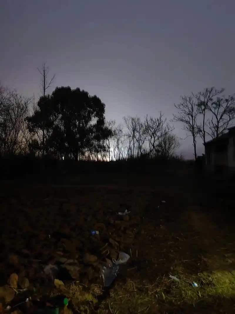 农村乡下的夜晚mate50拍的照片真牛