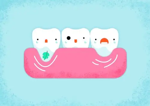 affinity designer-牙齿