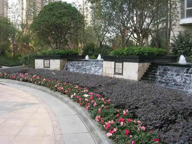 南京超高档小区实景照片