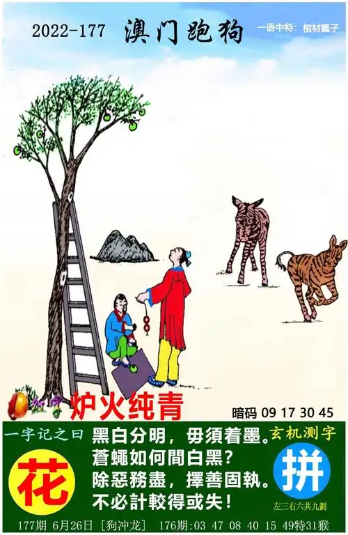 49图库免费资料大全,84|995澳门论坛资料2021年,84|995澳门论坛资料