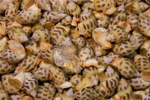 qj6941989875_全景网