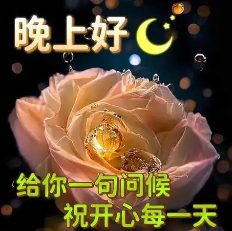 晚上好图片大全晚上好祝福晚上好问候