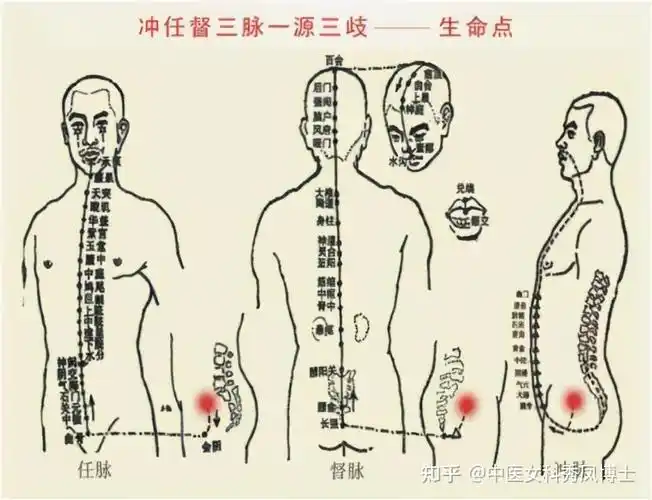 腹部一定要瘦,脂肪堆积是万病之源