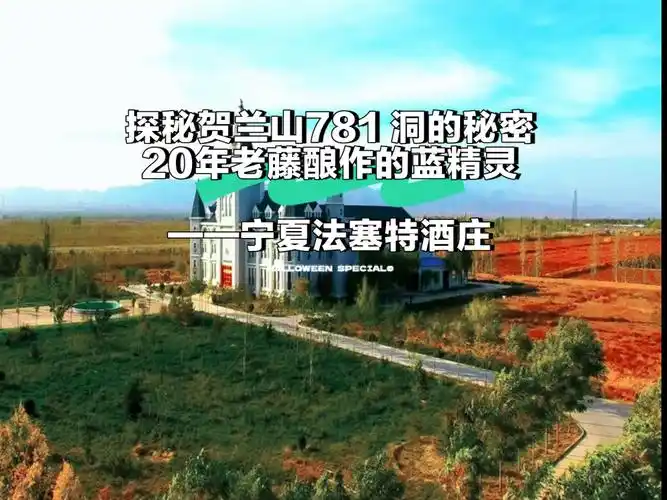 藏在贺兰山781洞的蓝精灵法塞特酒庄