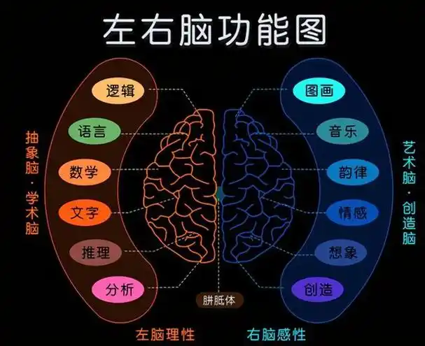 研究发现:右脑发达的孩子特征明显,长大更容易成学霸(左脑发达的表现