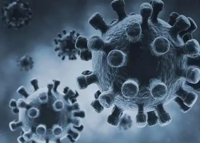 拉姆达毒株逐渐蔓延多国病毒再升级做好这些预防很重要
