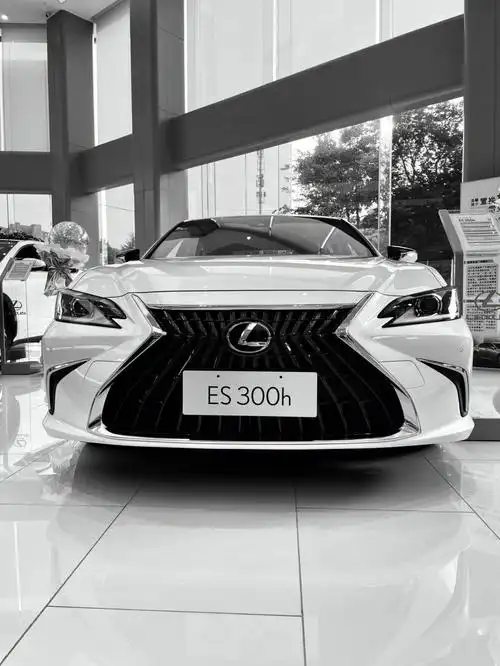 不同滤镜下的雷克萨斯es300h