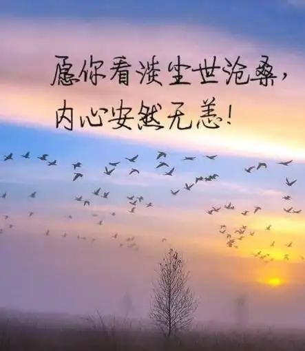 与世无争看淡一切图片