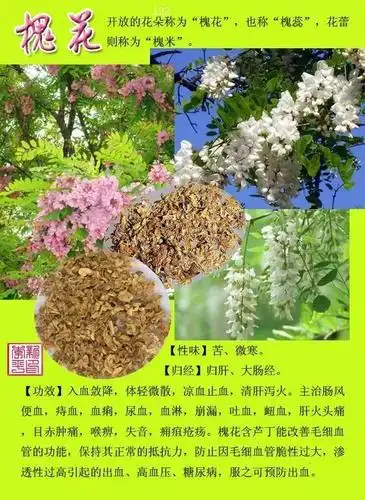 300种常见中草药图谱