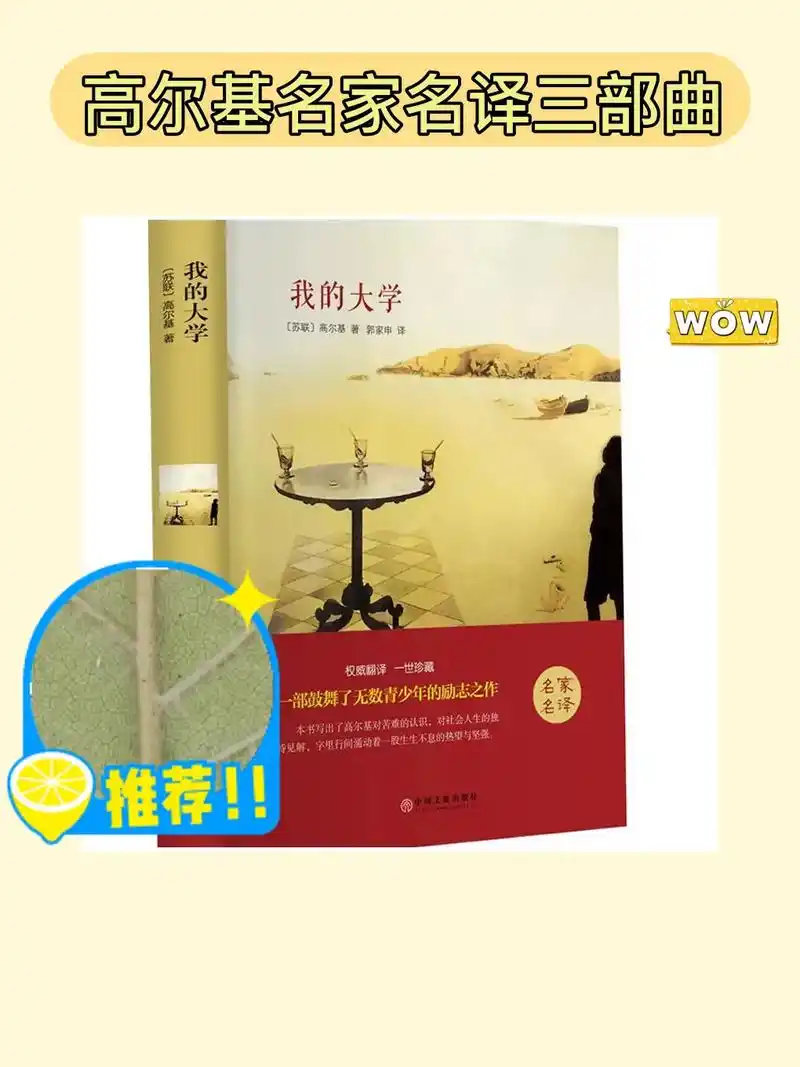 高尔基名著,世界文学经典!99.我的大学 高尔 - 抖音