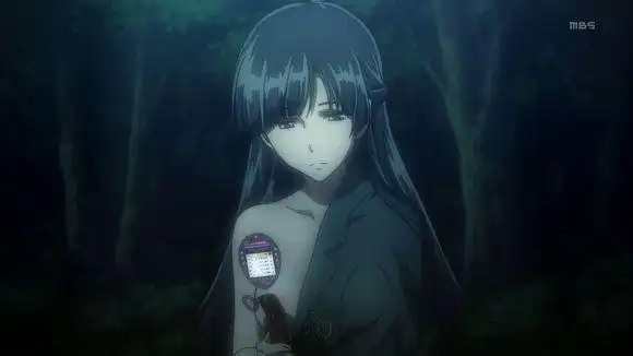 这图是叫什么名?