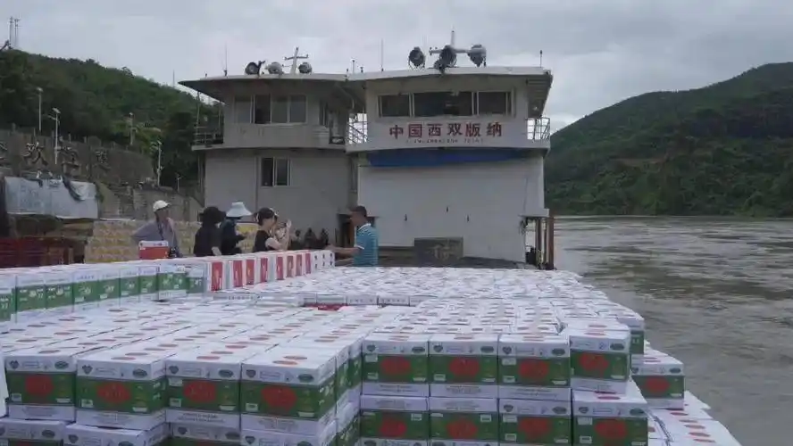 勐腊县 | 全面提升口岸功能 做大做强口岸经济_码头_出口_货物