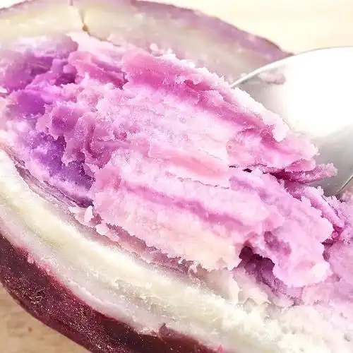 冰淇淋番薯红薯一点红番薯农家自种花心板栗粉糯紫薯地瓜现挖新鲜