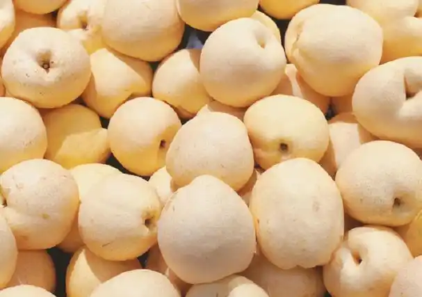 梨是凉性还是热性的?