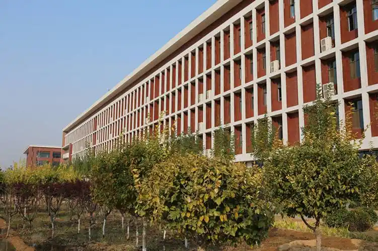 组图:深秋的河北科技学院曹妃甸校区美翻啦!_教育部_校园_建设