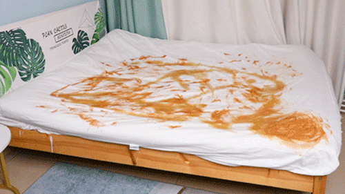 拯救你的床垫!隔尿,除螨,40年寝具品牌打造,不费力睡新床