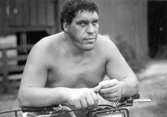 世界上最高大的摔跤之王,创下15年不败神话,仅骨灰就重15斤_安德烈