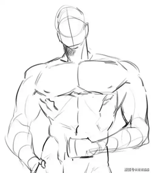 男性人体参考分享