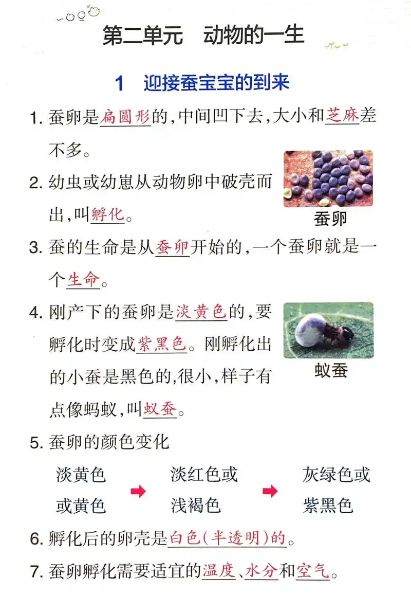 小学三年级下册《科学》第二单元知识总结!