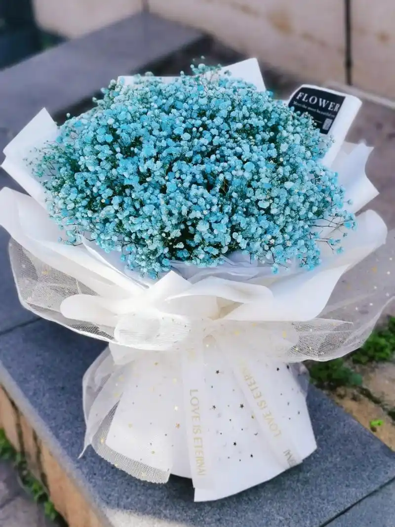 你就是我的满天欢喜 希望有一天 ,你喜欢的那个人捧着一束满天星 ,对