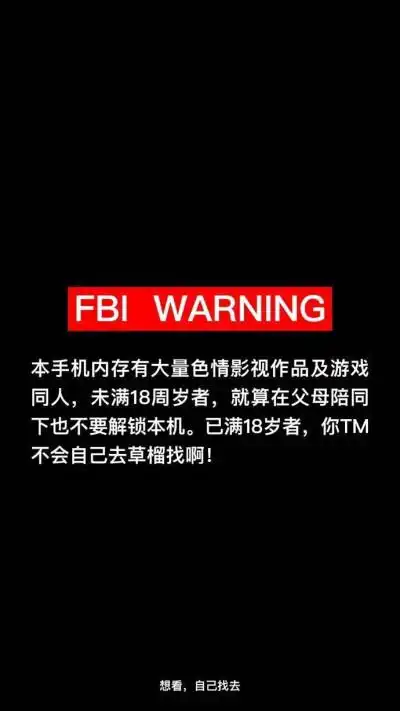 fbi壁纸