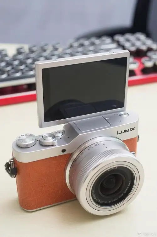 有颜值有内涵爱自拍爱生活松下gf9微单相机