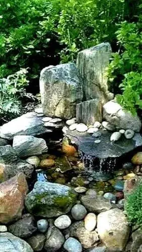 院落里的水系景观