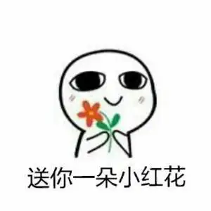 送你一朵小红花表情包素材聊天图片表情