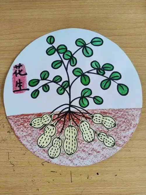 秋天创意美术丰收主题画花生儿童画幼儿手工