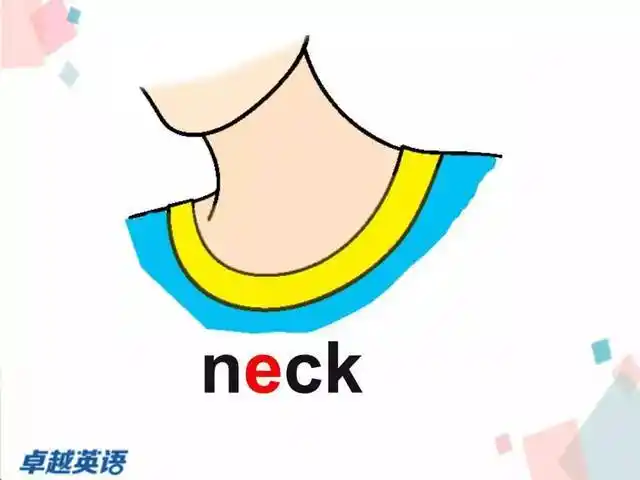 [he]头发(ket词汇) tooth/teeth [tuθ]/[tiθ]牙齿(ket词汇) neck