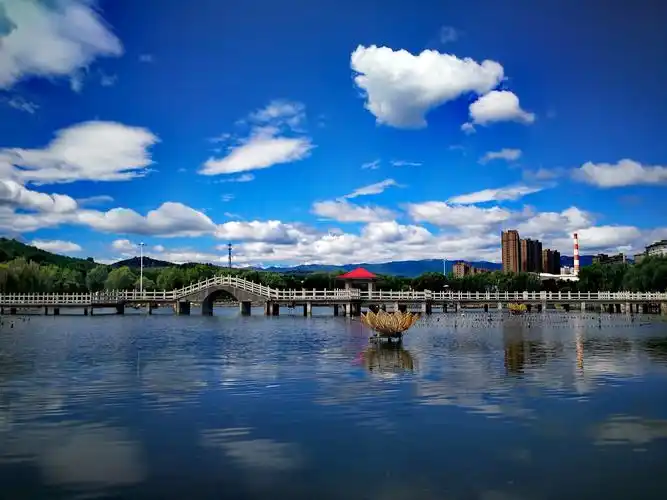 华亭市..夏日莲花湖.莲之镜 - 美篇