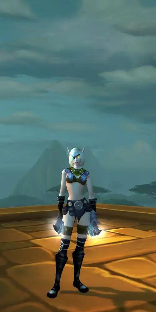 发一套俗气的幻化血精灵女皮甲