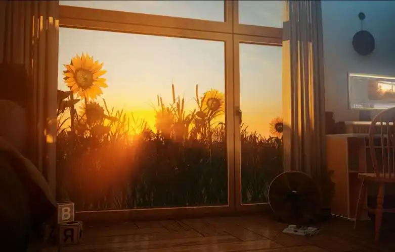 【vup】〈4k动态壁纸 · 落日〉直播间背景