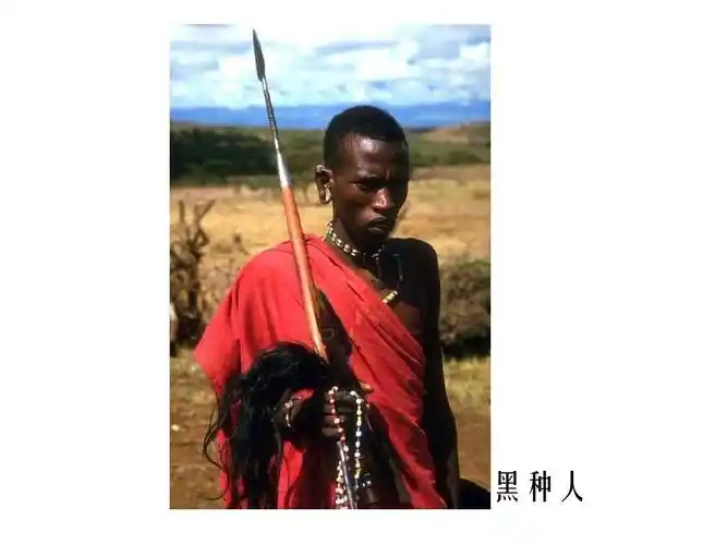 七年级地理下册第七章第三节《撒哈拉以南的非洲》ppt