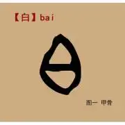 1056个甲骨文字之白字艺伙公开课