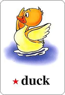 单词卡片 - 人教小学四年级 - pep四年级 - 新月空中英语