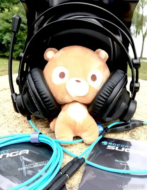 驾冰豹 千里奔袭拿人头 ——冰豹renga幻音豹电竞耳机测评