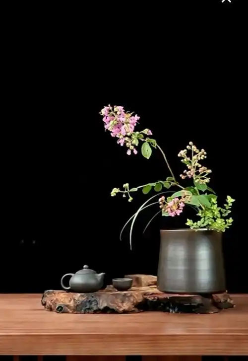 听雨煮茶,静享时光 ,佛系人生,禅意生活 ! - 抖音