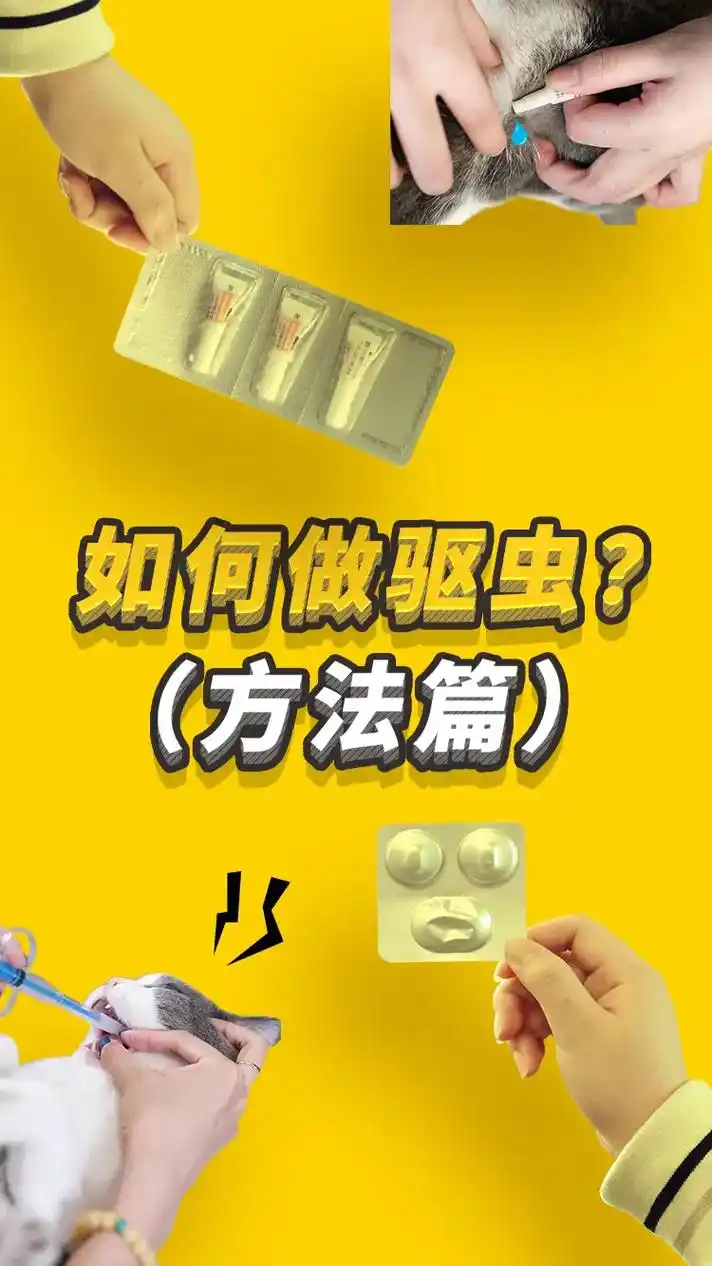 宠物如何做驱虫?#科学养宠攻略 #抖音图文来了 #宠物知识 - 抖音