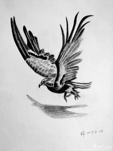 素描鹰,这幅画是我在网上看到的,很喜欢就照着临摹画下来,我还比较