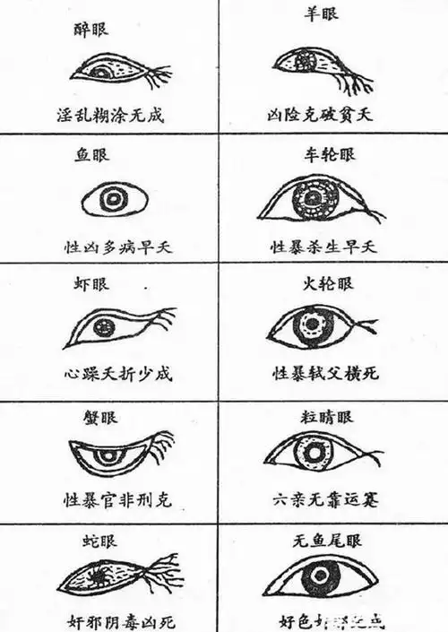 1,标准眼型,多见于男性.2,杏眼又称杏仁眼,如杏子形状的眼睛.