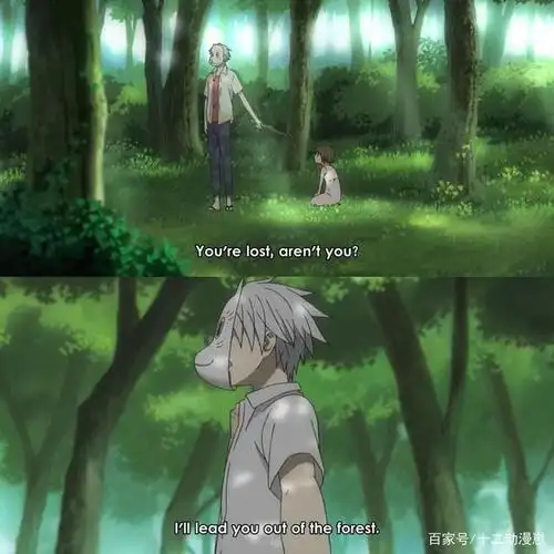 萤火之森,不只是有感人的故事,还有对自然的敬畏