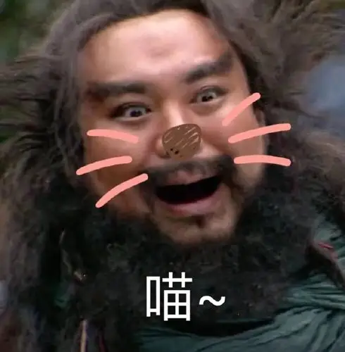 张飞搞笑带字表情包大全